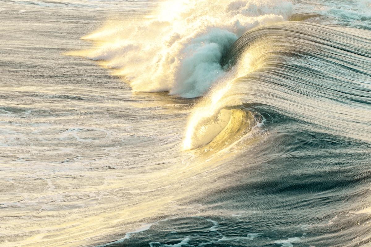 A powerful wave crashes in the ocean, illuminated by golden sunlight. The wave peaks with white froth, and the water appears textured and dynamic, capturing the movement and energy of the sea.